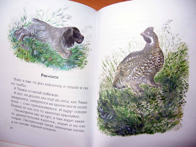 Иллюстрация 28 из 33 для Тюпа и Томка - Евгений Чарушин | Лабиринт - книги. Источник: Red cat ;)