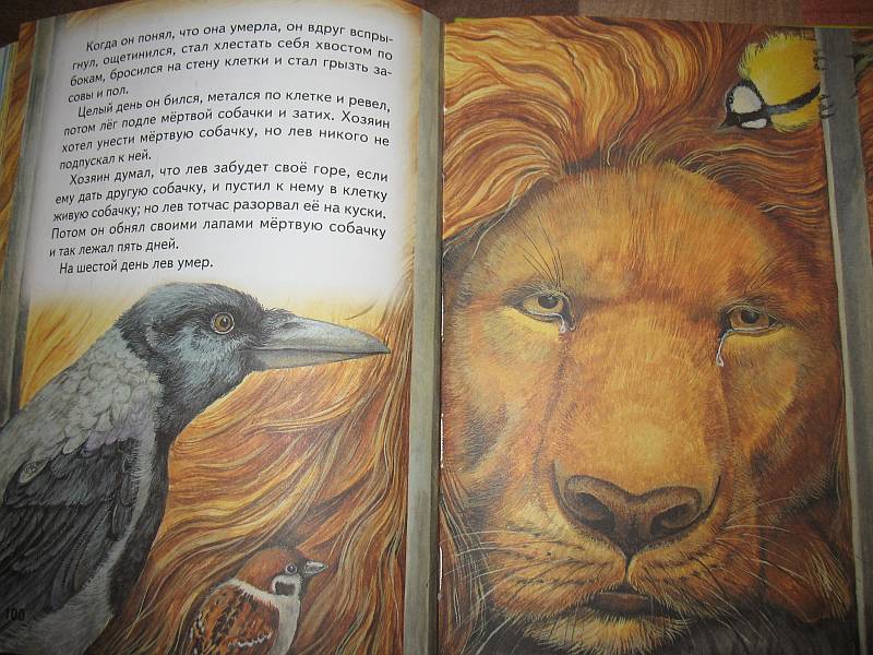 Иллюстрация 39 из 64 для Истории Кота-Мурлыки: сказки | Лабиринт - книги. Источник: Lublu!