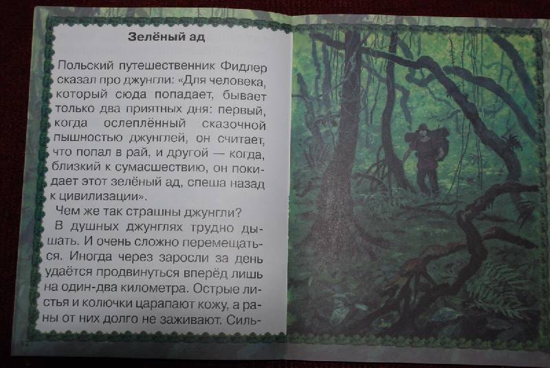 Иллюстрация 2 из 17 для Джунгли или путешествие по тропическому лесу - Ольга Колпакова | Лабиринт - книги. Источник: Lared
