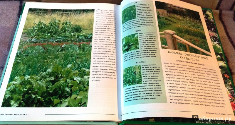 Иллюстрация 2 из 25 для Зеленые хиты сада - Ульяна Анапова | Лабиринт - книги. Источник: Бог в помощь