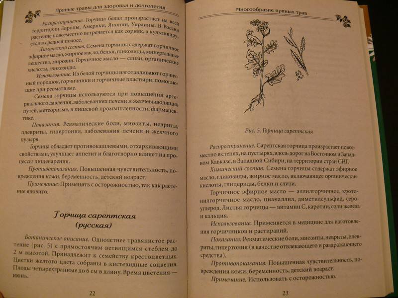 Иллюстрация 4 из 9 для Пряные травы для здоровья и долголетия - Гаврилова, Ионова, Плисов | Лабиринт - книги. Источник: Caelus