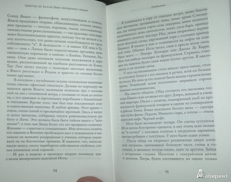 Иллюстрация 9 из 9 для Заяц с янтарными глазами: скрытое наследие - Эдмунд Вааль | Лабиринт - книги. Источник: Леонид Сергеев