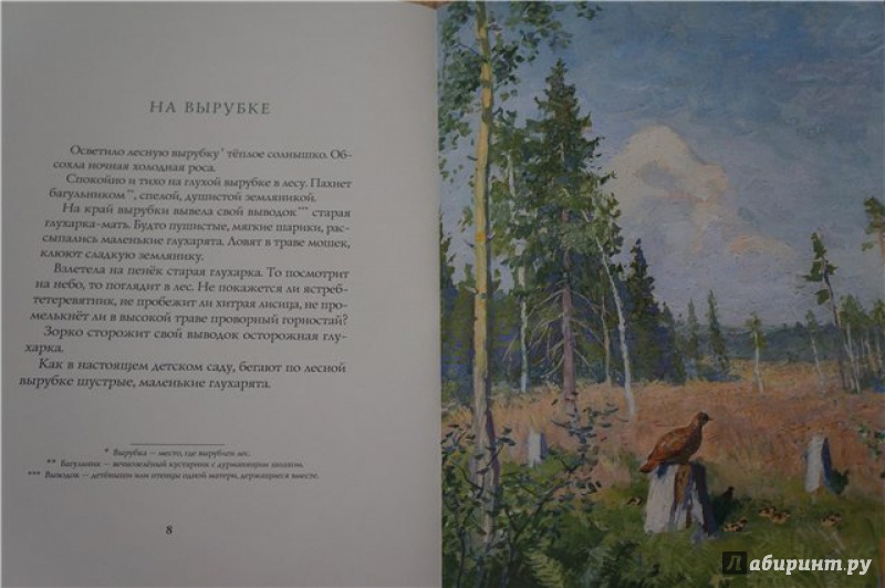 Иллюстрация 8 из 14 для Лето в лесу - Иван Соколов-Микитов | Лабиринт - книги. Источник: Екатерина  Екатерина