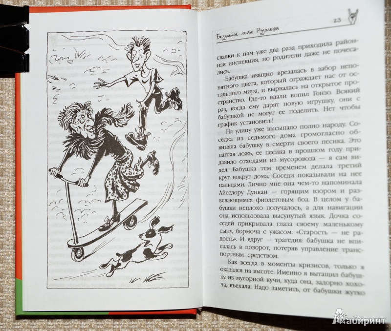 Иллюстрация 1 из 31 для Безумное лето Рудольфа - Иоанна Фабицкая | Лабиринт - книги. Источник: Mamulechka