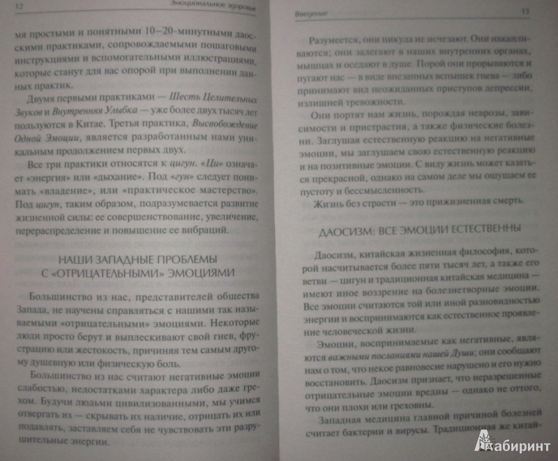 Иллюстрация 3 из 23 для Эмоциональное здоровье. Трансформация отрицательных эмоций в жизненную силу - Чиа, Саксер | Лабиринт - книги. Источник: товарищ маузер