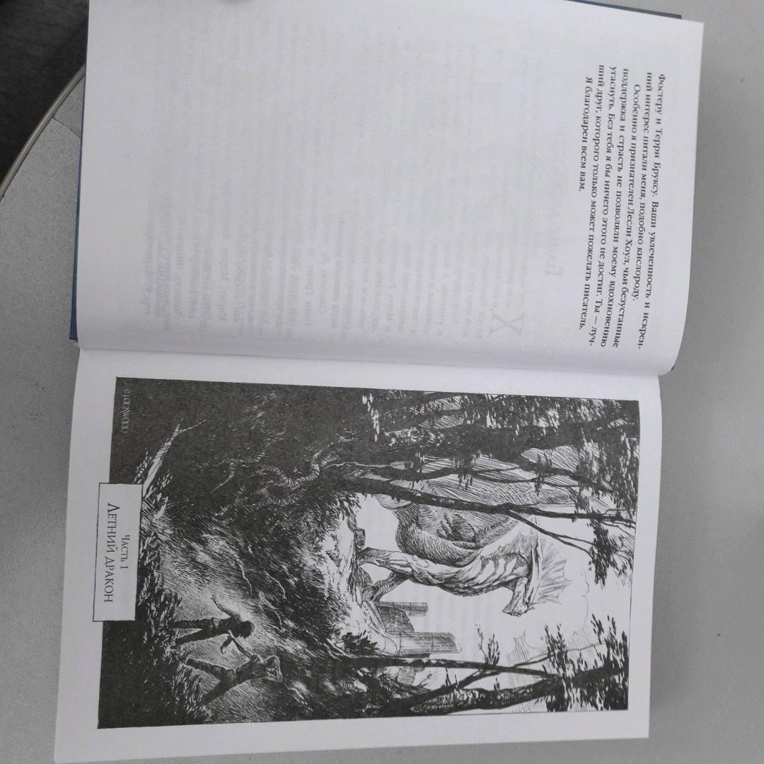 Иллюстрация 17 из 38 для Летний дракон. Первая книга Вечнолива - Тодд Локвуд | Лабиринт - книги. Источник: ReadBook