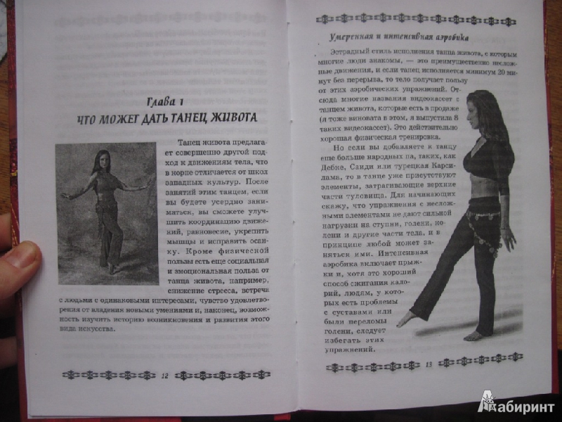 Иллюстрация 2 из 9 для Танец живота - Рания Боссонис | Лабиринт - книги. Источник: товарищ маузер