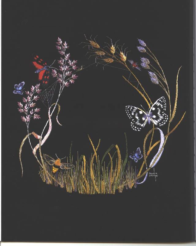 Иллюстрация 40 из 41 для Бабочки. Практическое руководство - Хелен Стивенс | Лабиринт - книги. Источник: Тайша40