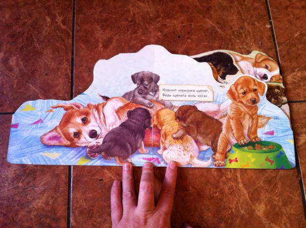 Иллюстрация 4 из 7 для Собака и щенята - Ринат Курмашев | Лабиринт - книги. Источник: Котельникова  Светлана