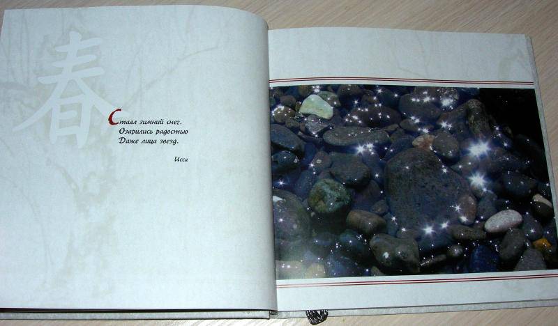 Иллюстрация 10 из 30 для Япония. Снег. Луна. Цветы...: сборник | Лабиринт - книги. Источник: Rocio