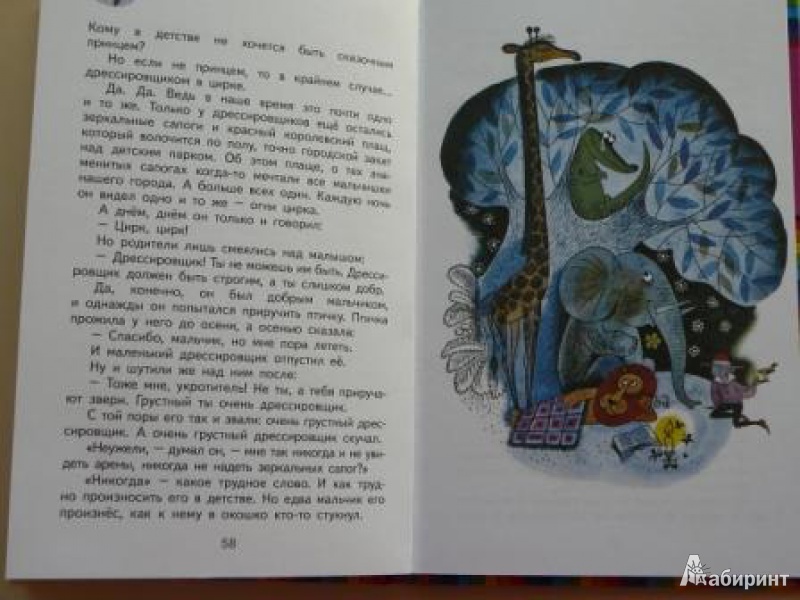 Иллюстрация 30 из 39 для Сказки - Геннадий Цыферов | Лабиринт - книги. Источник: Кирюшина  Татьяна Ивановна