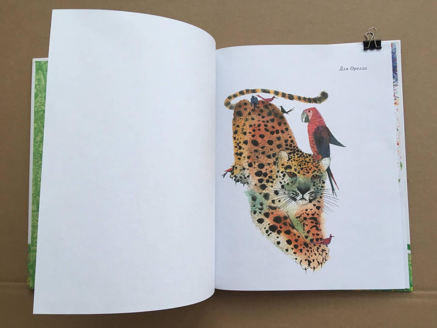 Иллюстрация 26 из 35 для Праздник в джунглях - Брайан Уайлдсмит | Лабиринт - книги. Источник: Ekatterina