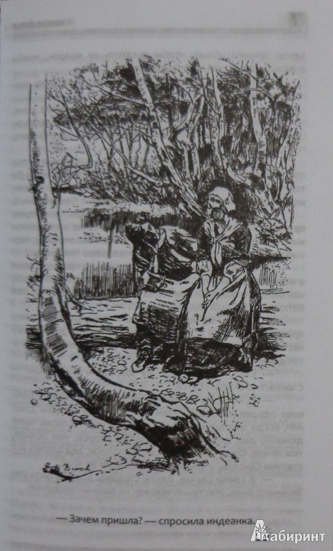 Иллюстрация 6 из 8 для Зверобой, или Первая тропа войны - Джеймс Купер | Лабиринт - книги. Источник: Оля******