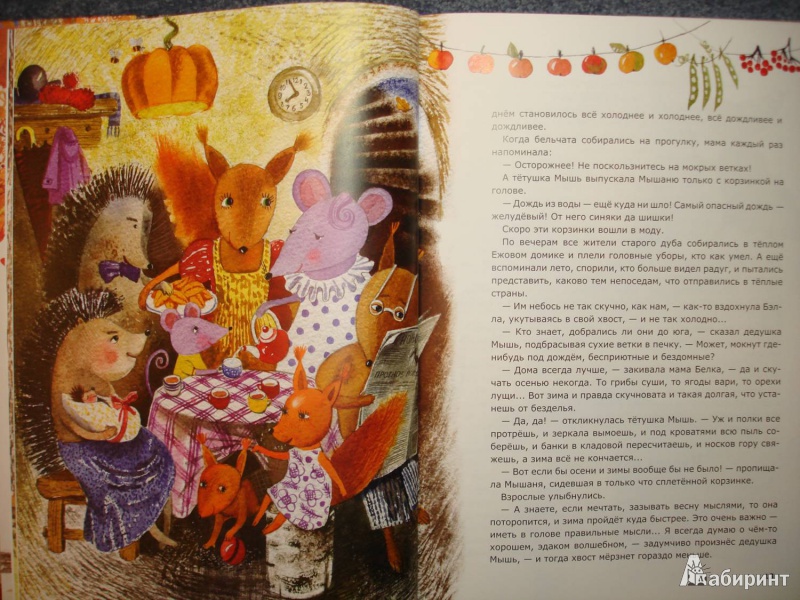 Иллюстрация 13 из 48 для Бельчонок, его друзья и волшебная книга - Ольга Фадеева | Лабиринт - книги. Источник: Сорокина  Лариса