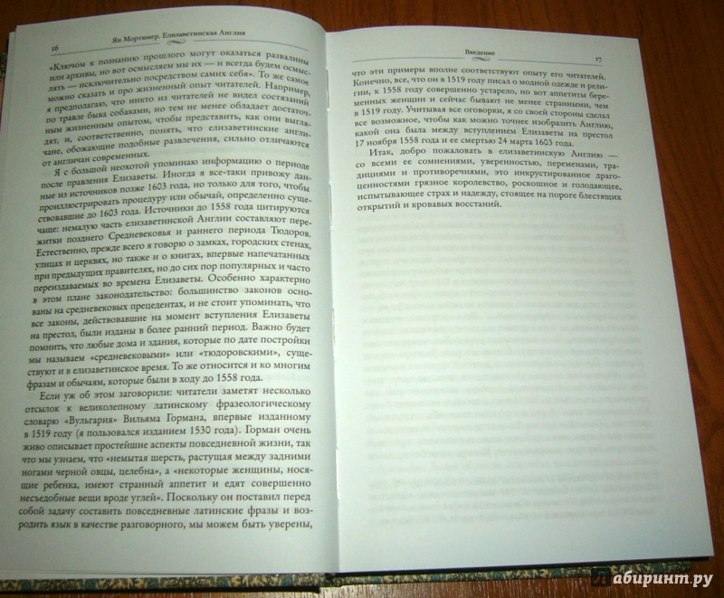 Иллюстрация 37 из 38 для Елизаветинская Англия. Гид путешественника во времени - Ян Мортимер | Лабиринт - книги. Источник: Lilac