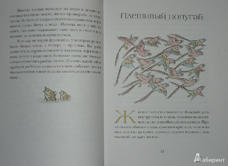 Иллюстрация 43 из 73 для Сказки сельвы: сказки о животных - Орасио Кирога | Лабиринт - книги. Источник: Ромашка:-)