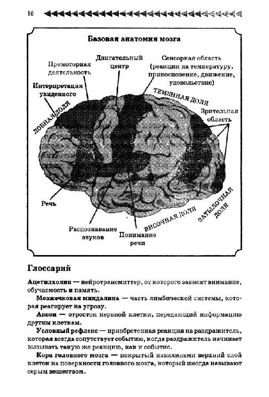 Иллюстрация 4 из 24 для Как развить умственные способности, память и внимание. Заставь свой мозг работать на 100 % - Гамон, Брегдон | Лабиринт - книги. Источник: Юта