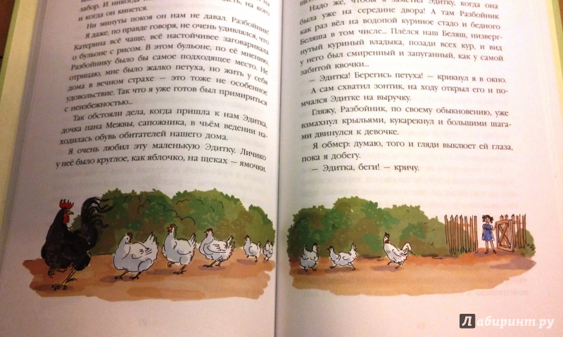 Иллюстрация 25 из 54 для Цирк на дворе - Ян Грабовский | Лабиринт - книги. Источник: Бог в помощь