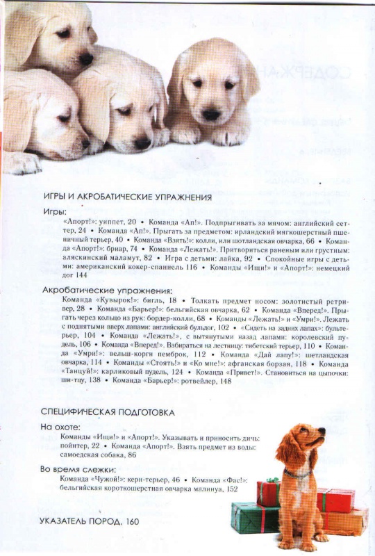 Иллюстрация 3 из 4 для Дрессировка собак. Секреты опытного кинолога - Консуэло Компс | Лабиринт - книги. Источник: Marina  Kuzmicheva