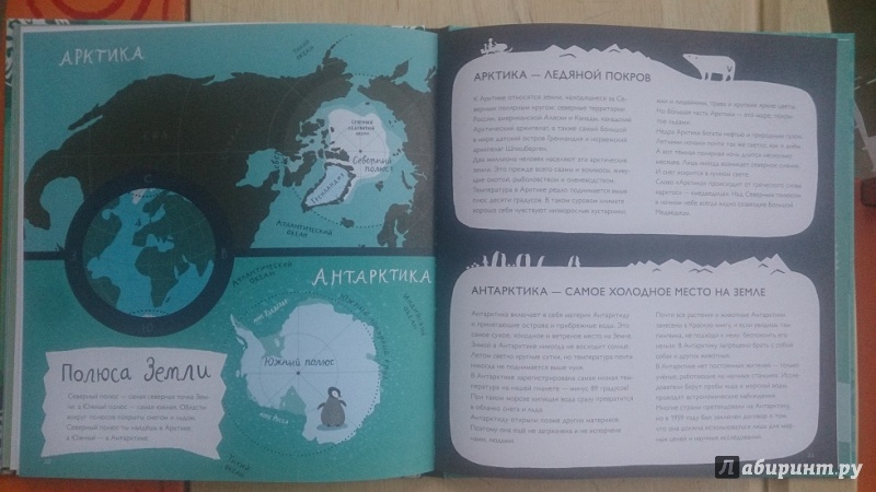 Иллюстрация 14 из 22 для Горячие факты про лёд - Лена Шёберг | Лабиринт - книги. Источник: Аскина  Юлия