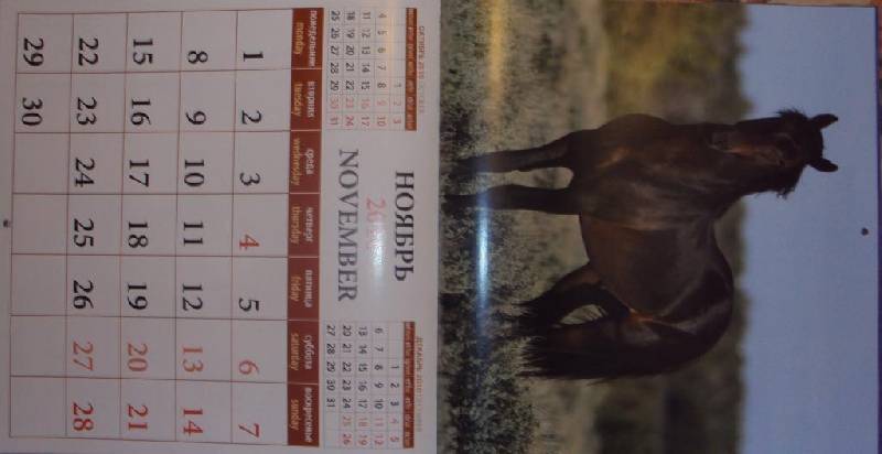 Иллюстрация 11 из 15 для Календарь. 2010 год. Лошади (70903) | Лабиринт - сувениры. Источник: KOK