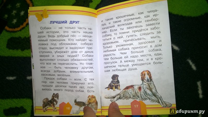Иллюстрация 12 из 23 для Домашние животные - Елена Снегирева | Лабиринт - книги. Источник: Солнышко Светка