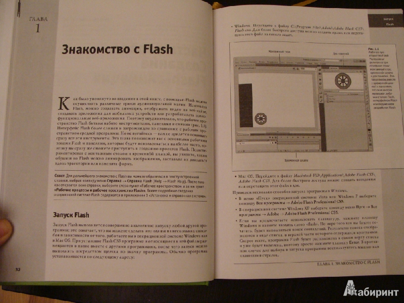 Иллюстрация 10 из 15 для Flash CS5. Практическое руководство +DVD - Крис Гровер | Лабиринт - книги. Источник: dragonspy