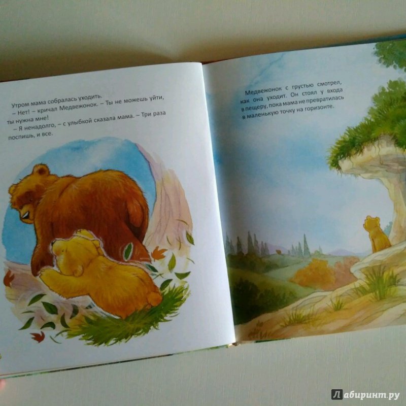 Иллюстрация 18 из 29 для Старые медведи не умеют лазать по деревьям - Хейди Ховарт | Лабиринт - книги. Источник: Яшина Юлия
