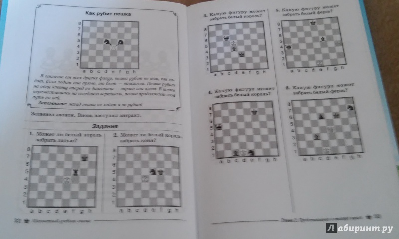 Иллюстрация 3 из 11 для Шахматный учебник-сказка для малышей и их наставников - Антонина Трофимова | Лабиринт - книги. Источник: Лабиринт