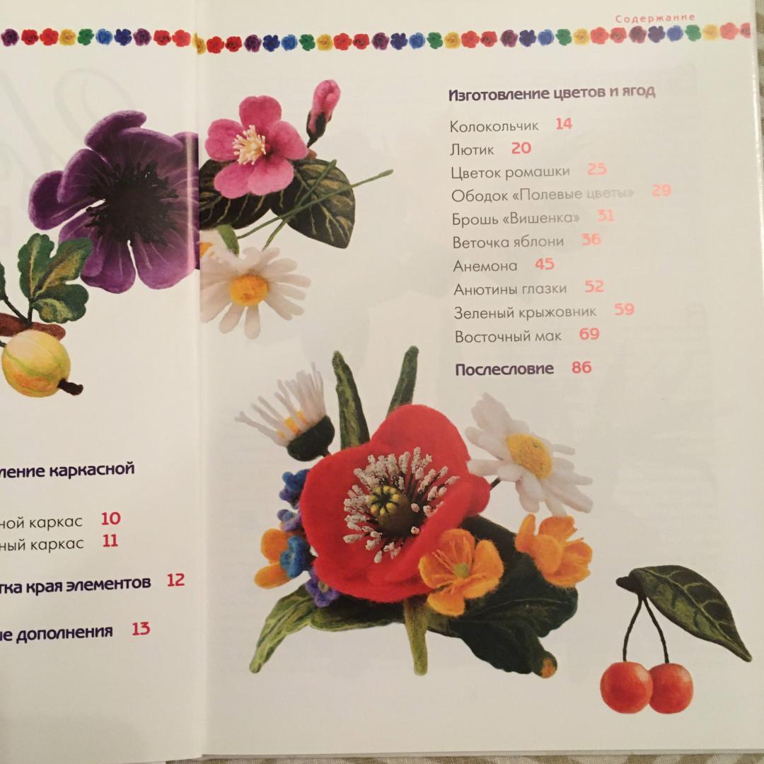 Иллюстрация 38 из 42 для Цветы из войлока - Виктория Козырь | Лабиринт - книги. Источник: Фролов  Аркадий