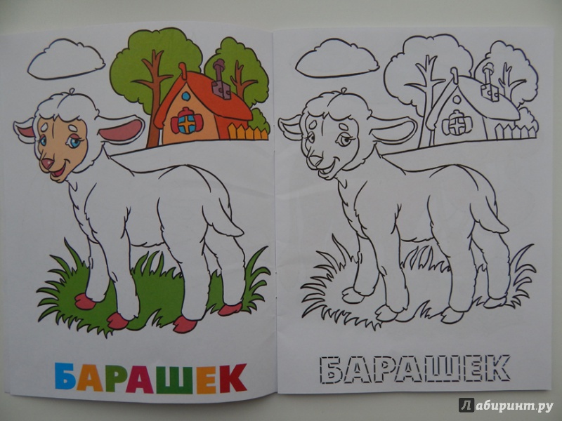 Иллюстрация 4 из 12 для Раскраска "Домашние животные" | Лабиринт - книги. Источник: Мелкова  Оксана