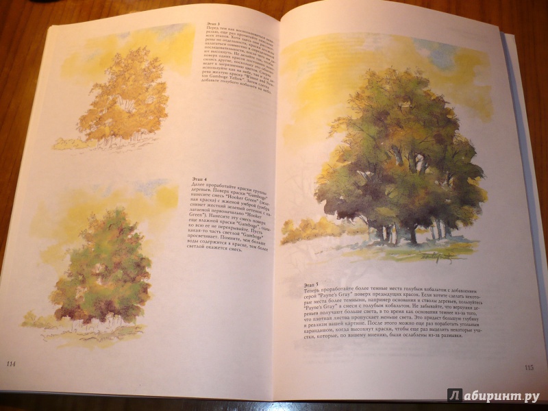 Иллюстрация 42 из 61 для Деревья - Стенли Молцмен | Лабиринт - книги. Источник: Голиков  Сергей Юрьевич