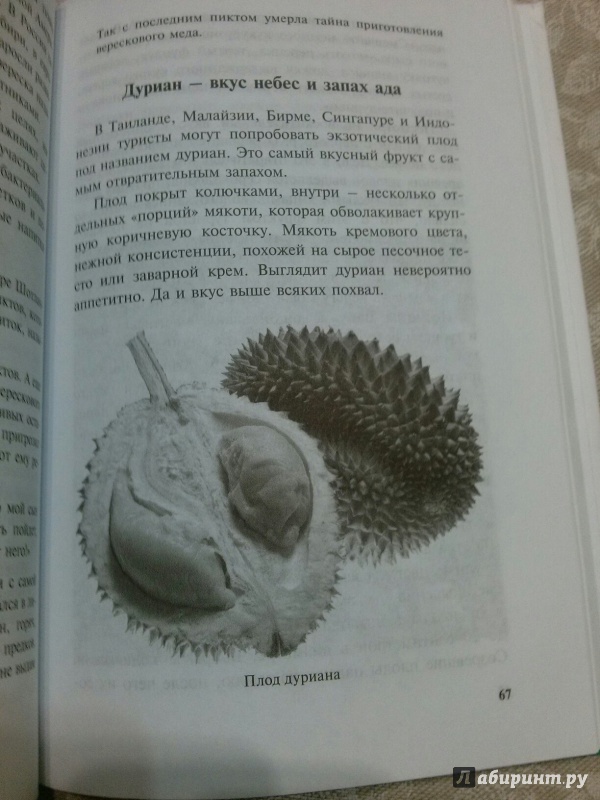 Иллюстрация 20 из 26 для Самые необычные растения - Оксана Ларина | Лабиринт - книги. Источник: Лабиринт