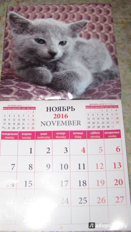 Иллюстрация 11 из 13 для Календарь настенный на 2016 год "Котята" (70605) | Лабиринт - сувениры. Источник: V  Marisha