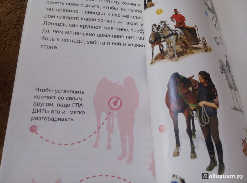 Иллюстрация 6 из 23 для Мои друзья - лошади | Лабиринт - книги. Источник: N. Atali Kay