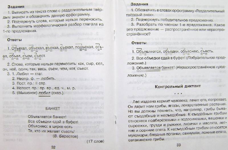 Иллюстрация 9 из 15 для Итоговые проверочные и контрольные работы по русскому языку. 3-4 классы - Ирина Стронская | Лабиринт - книги. Источник: BOOKвочка