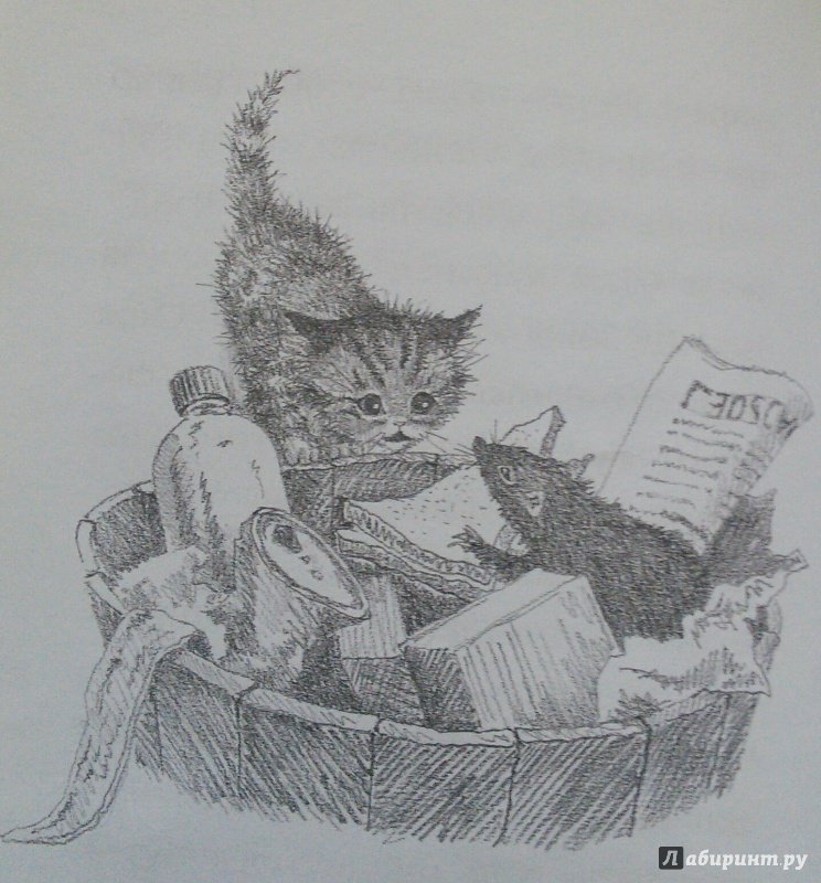 Иллюстрация 57 из 81 для Котёнок Пушинка, или Рождественское чудо - Холли Вебб | Лабиринт - книги. Источник: Лабиринт