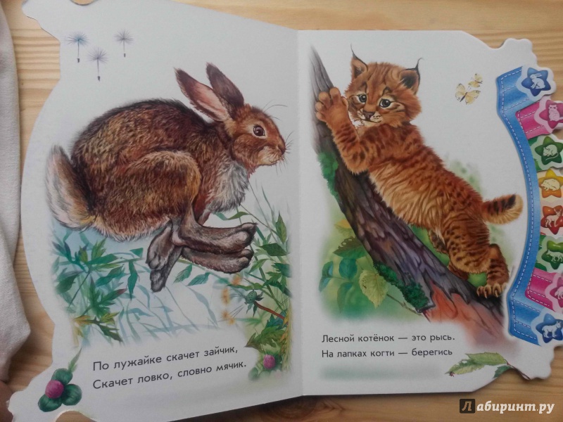 Иллюстрация 6 из 35 для В лесу - Олеся Квитка | Лабиринт - книги. Источник: Петрашова  Мария
