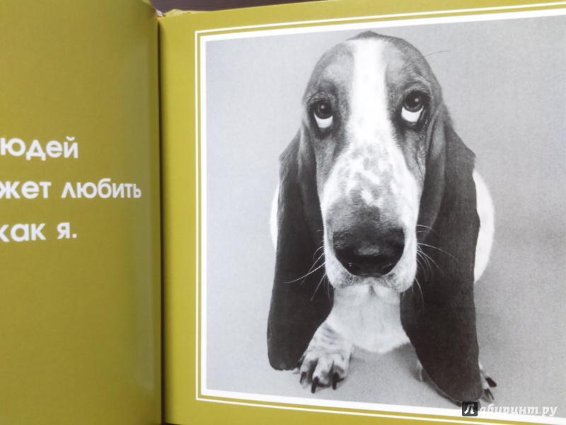 Иллюстрация 5 из 11 для Спросите у собаки: что думают собаки о людях и о себе | Лабиринт - книги. Источник: Тарабановская  Инна