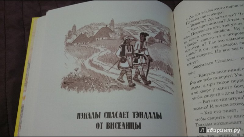 Иллюстрация 39 из 40 для Сказки из одной связки. Молдавские народные сказки | Лабиринт - книги. Источник: anka46