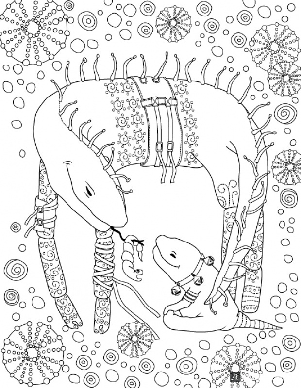 Иллюстрация 16 из 54 для Книга-раскраска Зендудл - Диляра Голубятникова | Лабиринт - книги. Источник: dilkka