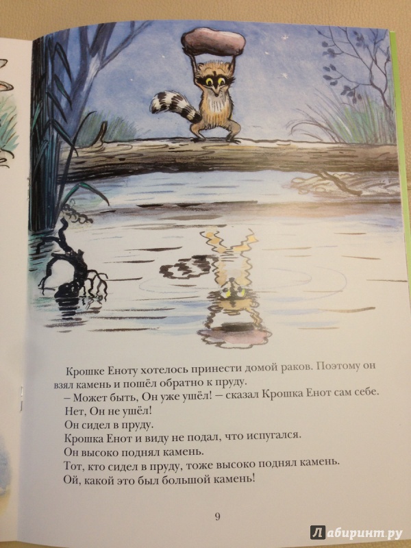 Иллюстрация 17 из 97 для Крошка Енот и тот, кто сидит в пруду - Лилиан Муур | Лабиринт - книги. Источник: antonnnn