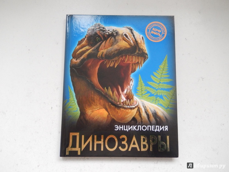 Иллюстрация 2 из 36 для Динозавры - Ирина Астапенко | Лабиринт - книги. Источник: dbyyb