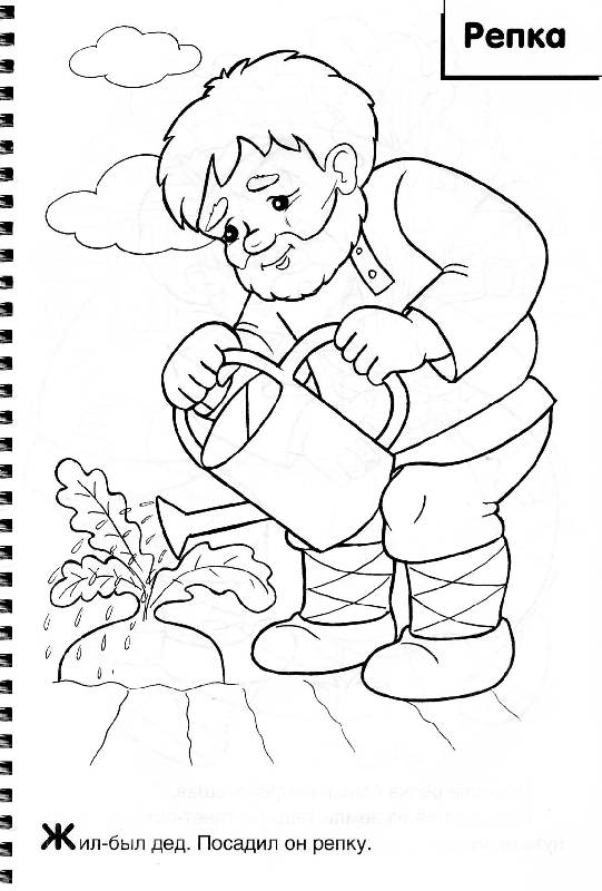 Иллюстрация 3 из 10 для Раскраска 4 в 1 раскраске "Репка. Теремок. Колобок. Маша и медведь" | Лабиринт - книги. Источник: Росинка