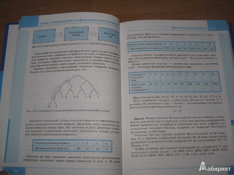Иллюстрация 9 из 21 для Информатика и ИКТ: учебник для 8 класса - Босова, Босова | Лабиринт - книги. Источник: Рыженький