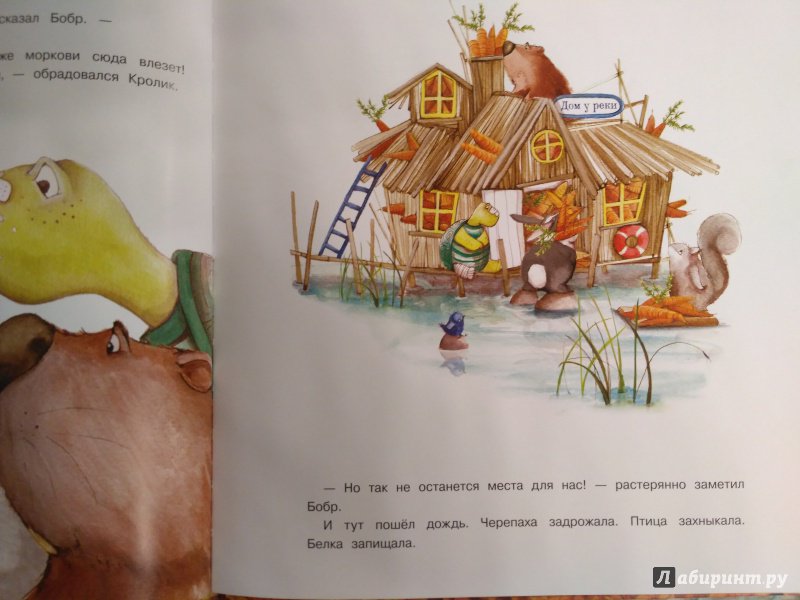 Иллюстрация 10 из 49 для Слишком много моркови - Кэти Хадсон | Лабиринт - книги. Источник: Лабиринт