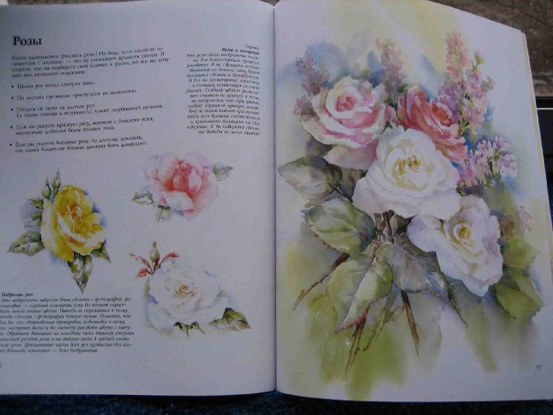 Иллюстрация 15 из 19 для Рисуем цветы акварелью - Вэнди Тейт | Лабиринт - книги. Источник: Трухина Ирина