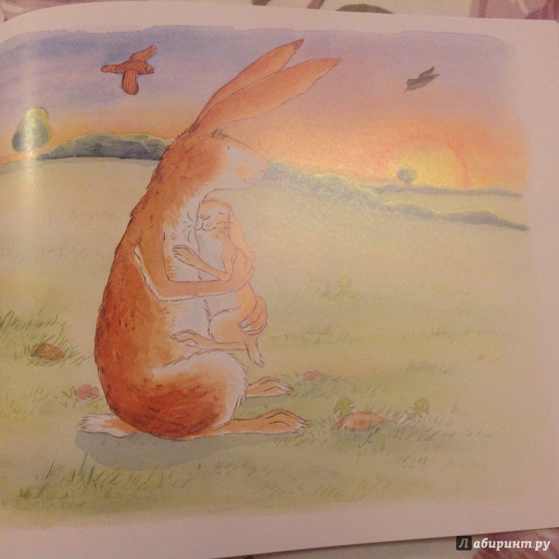 Иллюстрация 41 из 82 для Куда уложить зайчонка? - Шеридан Кейн | Лабиринт - книги. Источник: Selfishbaby