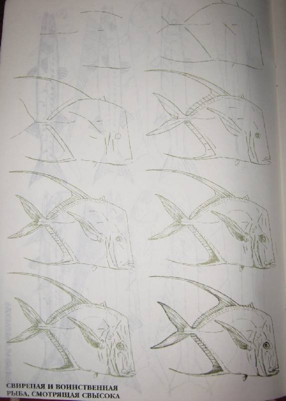 Иллюстрация 18 из 33 для Рисуем 50 акул, китов и других морских животных - Эймис, Бадд | Лабиринт - книги. Источник: Спанч Боб
