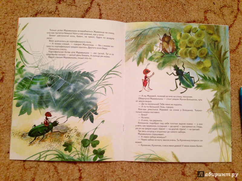 Иллюстрация 10 из 33 для Как муравьишка домой спешил - Виталий Бианки | Лабиринт - книги. Источник: Псевдоним